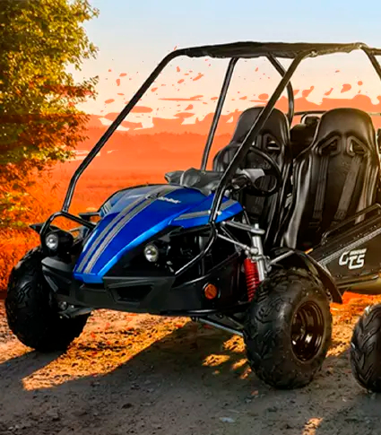 Banner Buggies Mobile