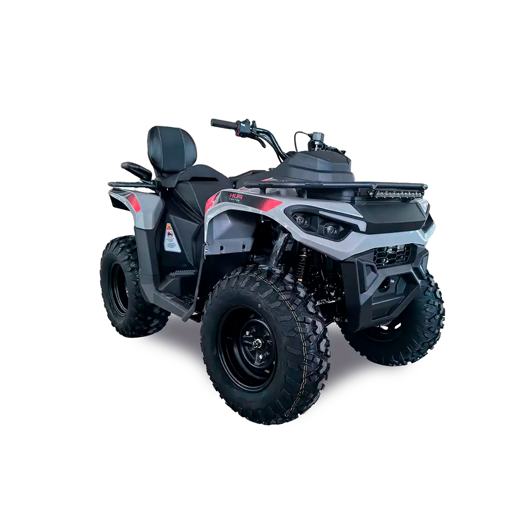 Dakar 300 - Especificações